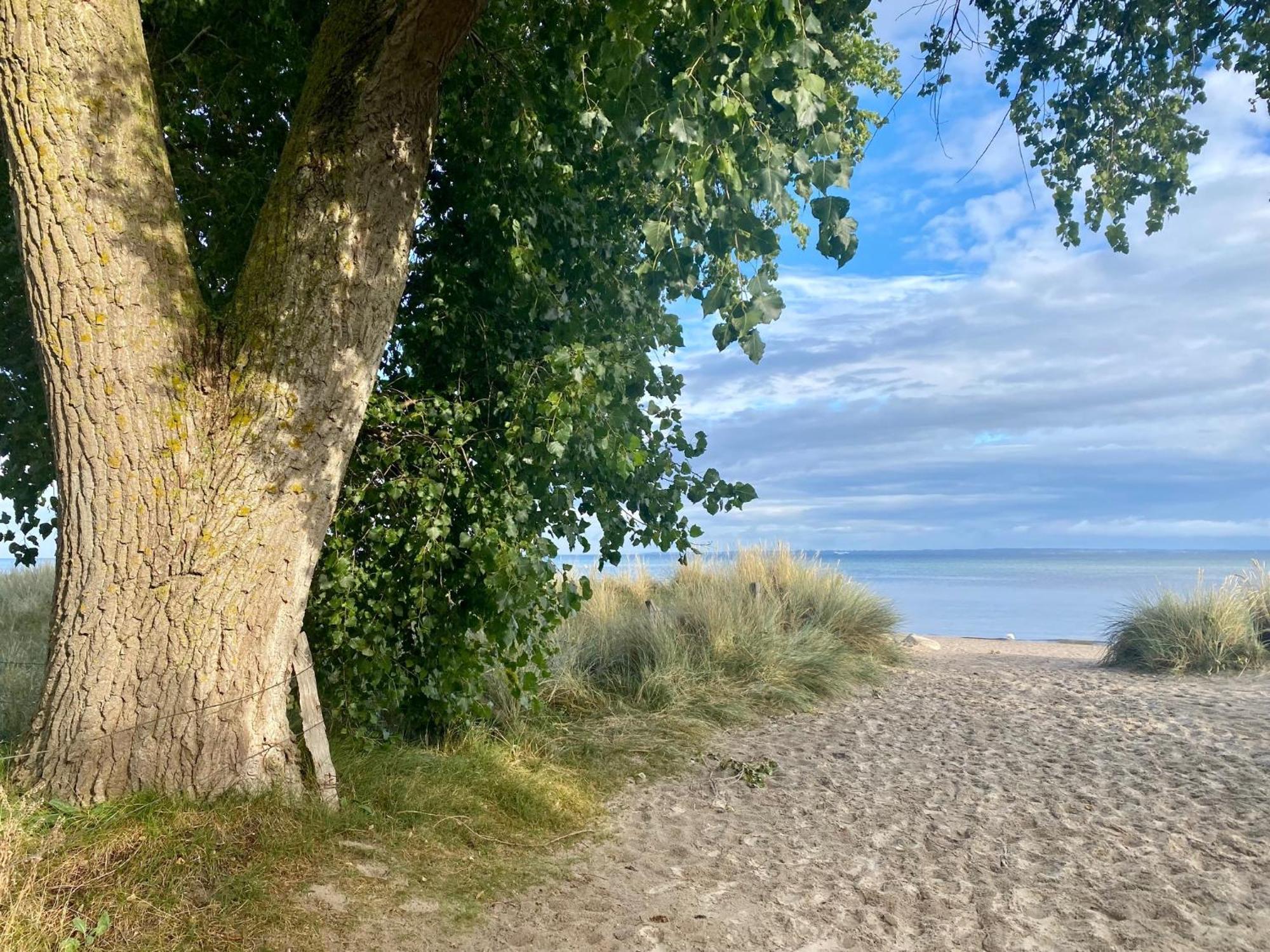 Feriendorf Südstrand Haus 43 Pelzerhaken Exterior foto